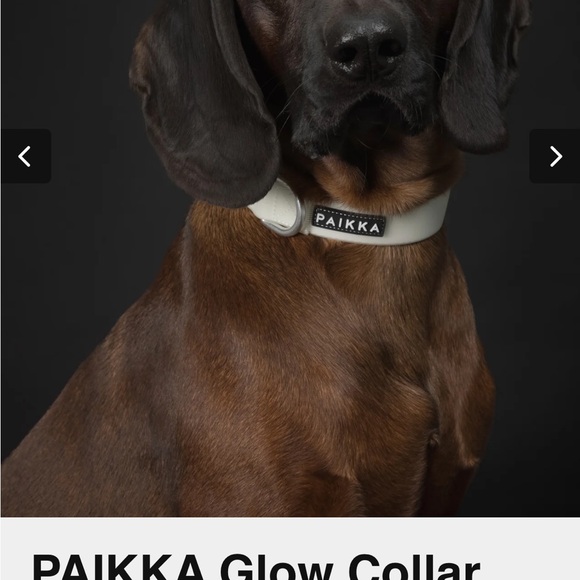 Pailkka Black and Blue glow in the dark collar. - Picture 2 of 4
